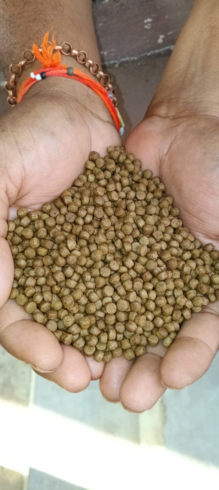 Shrimp Feed