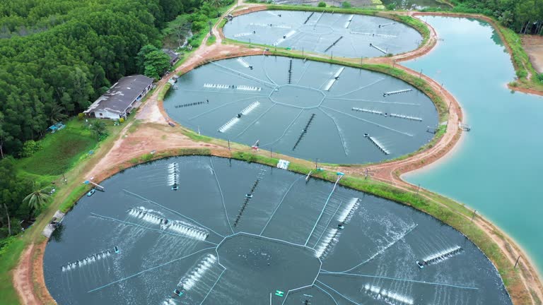 Aquaculture